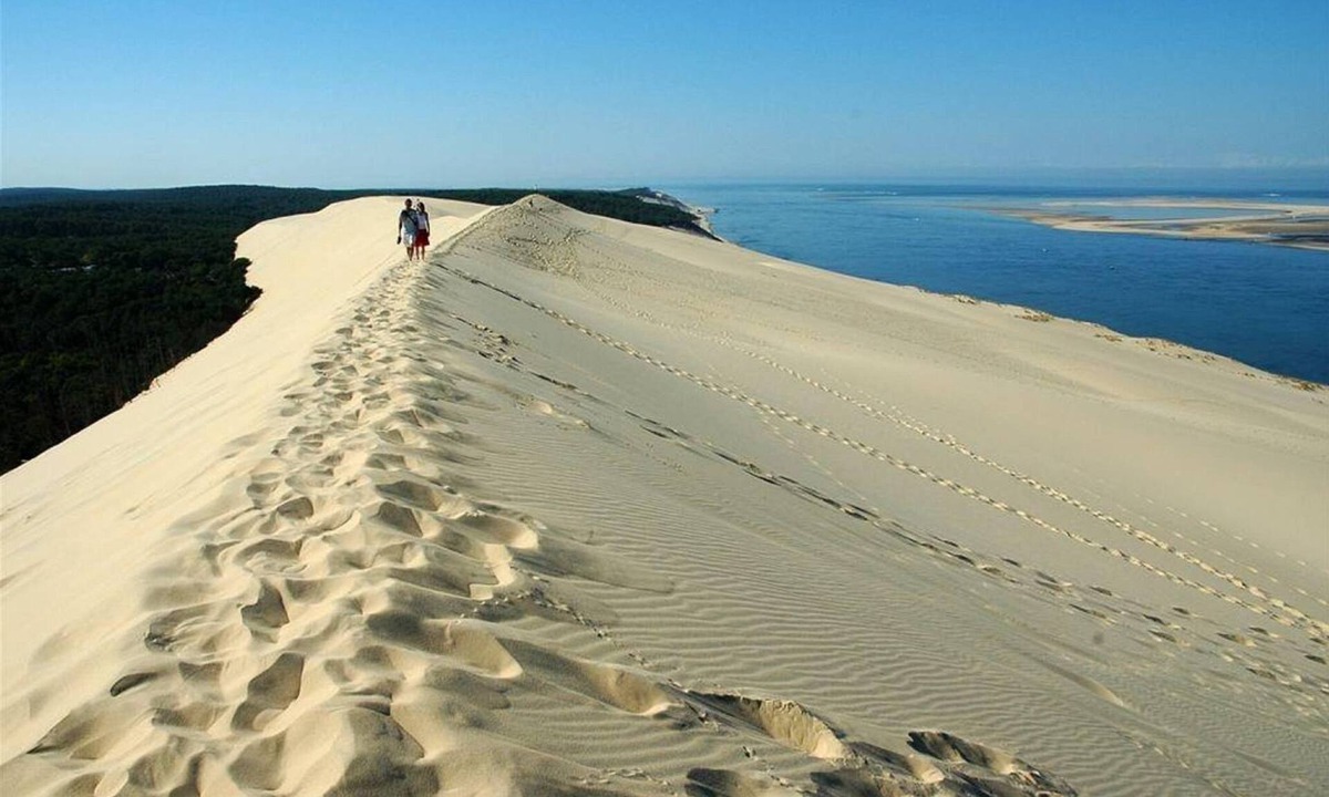 Arcachon Apartment | Duplex T5 "Feet in the water"