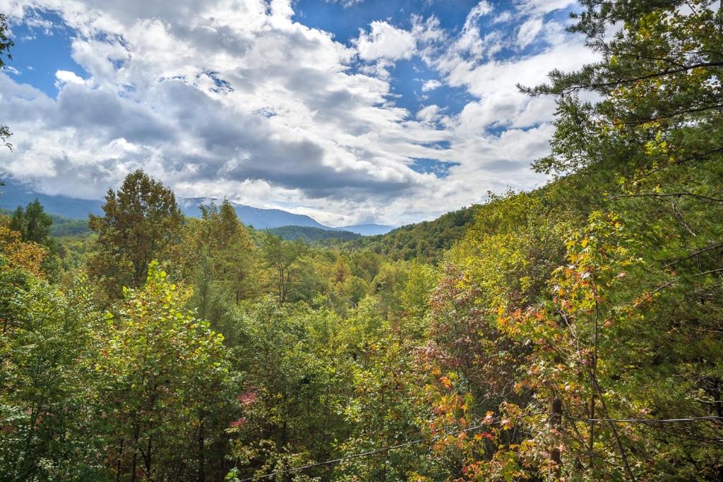 Cosby House | Eagle's Nest Hideaway