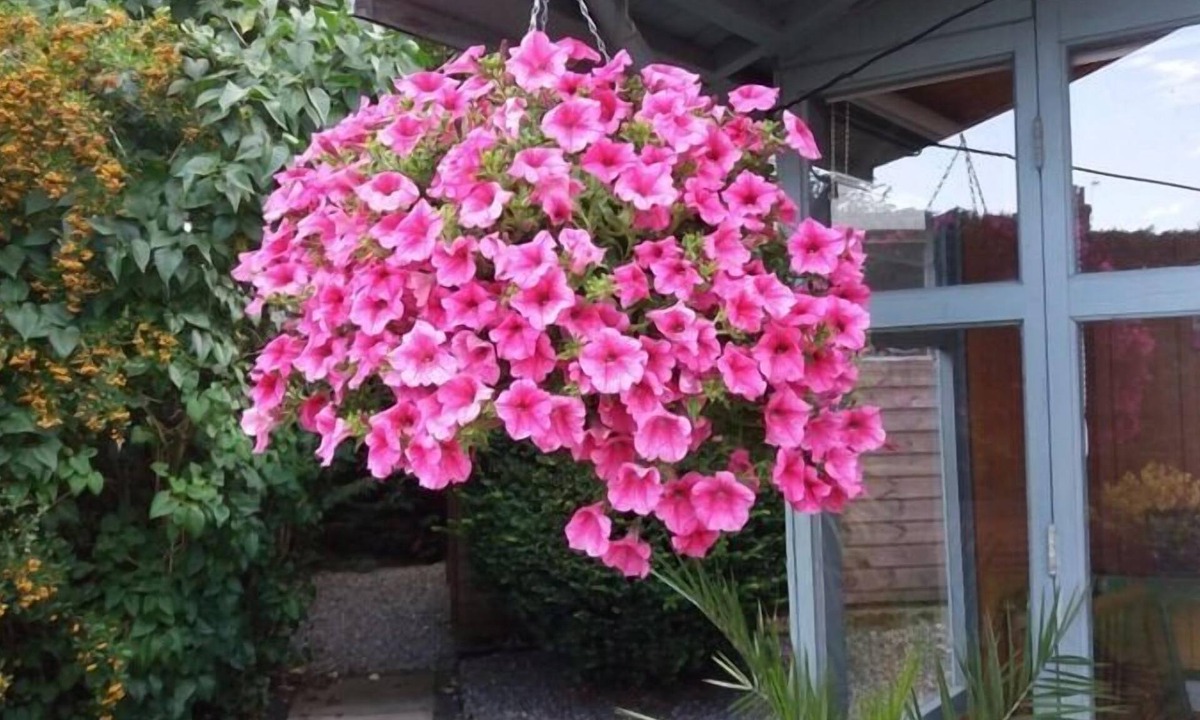 North Ferriby Bed & Breakfast | Eastdale Bed and Breakfast