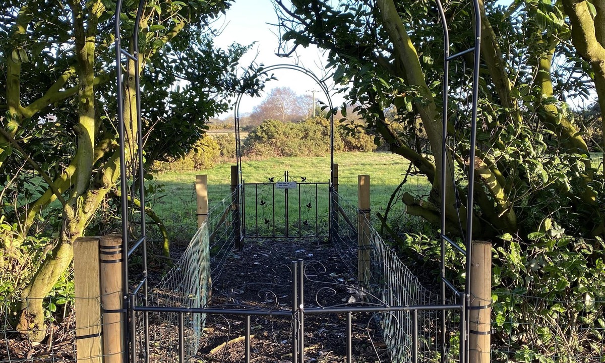 Walberswick Cabin | Eastwood Lodge