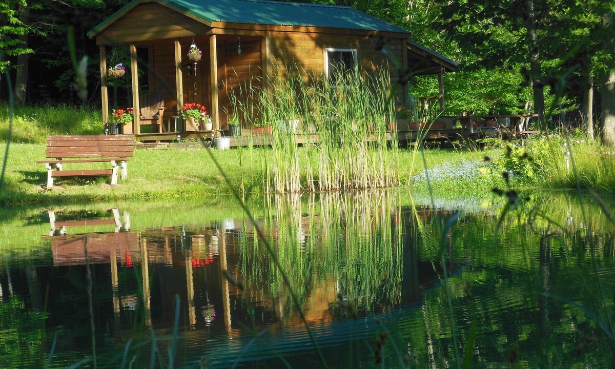 Wellsville Cabin | Ebb~n~Flow-Rustic-Solar Cabin-Heated-Hiking-Biking-Pond-Wildlife-Dark Skies-Pets