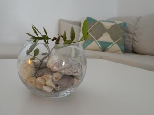 Sudurad Apartment | Eco Apartments Kate