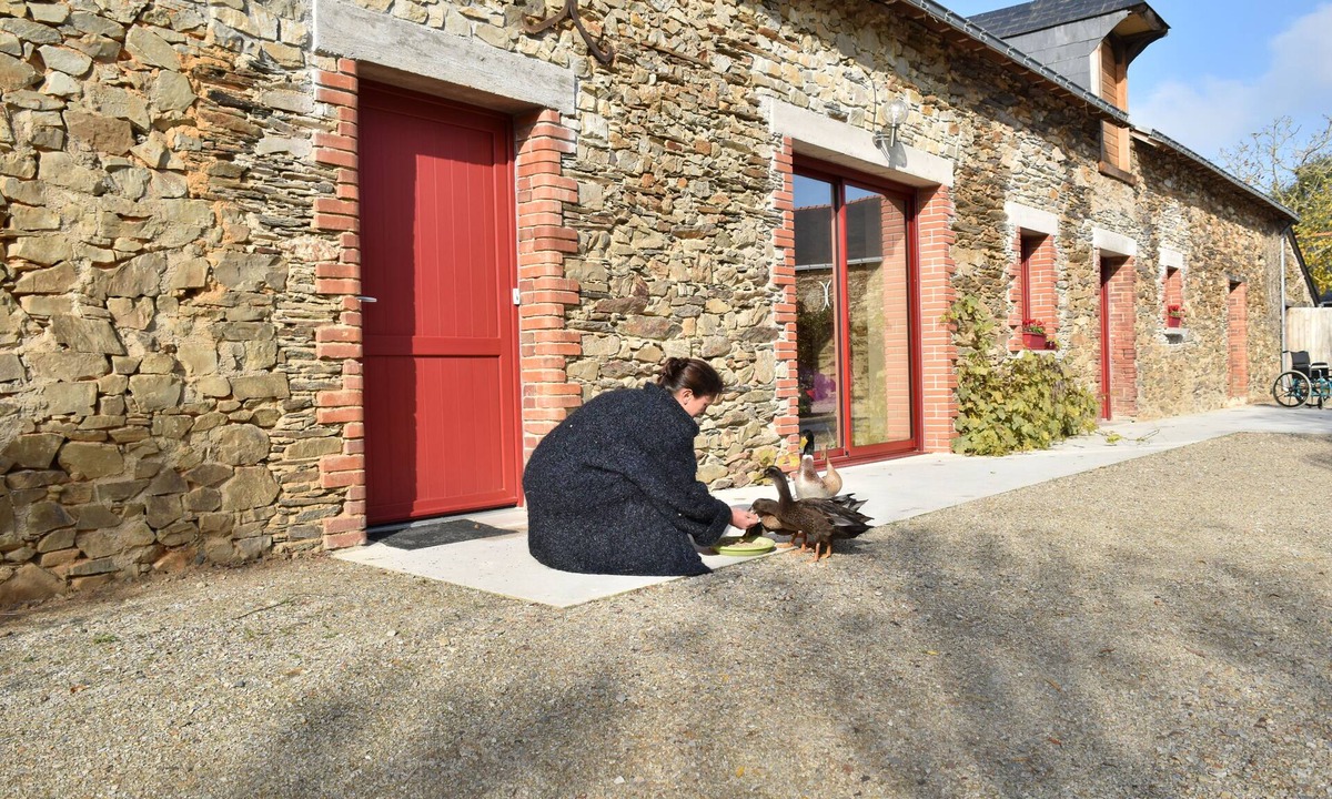Challain-la-Potherie House | Eco-Gîte, Clef Verte, 4★, 7 hectares, Farm animals, PMR, Anjou Bleu