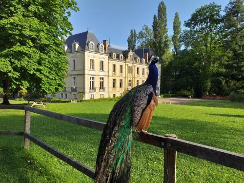 Ouezy Hotel | Eco Hôtel du Domaine de Ouézy
