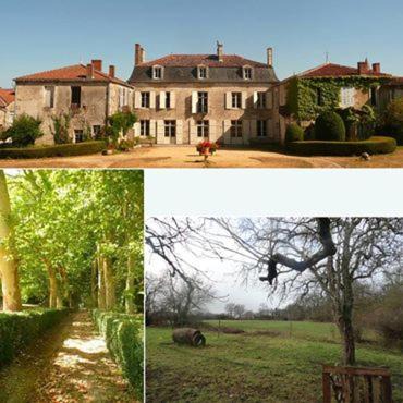 Champagne-Mouton Bed & Breakfast | Eco Logis de Chantegrolle