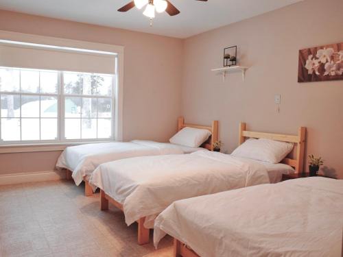 Commercial Cross Hostel | EcoSun Hostel
