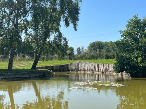 Samer House | Eden aux hirondelles