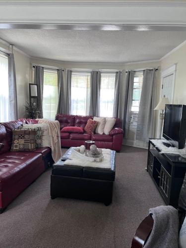 Windsor Apartment | Eden's Cozy Oasis