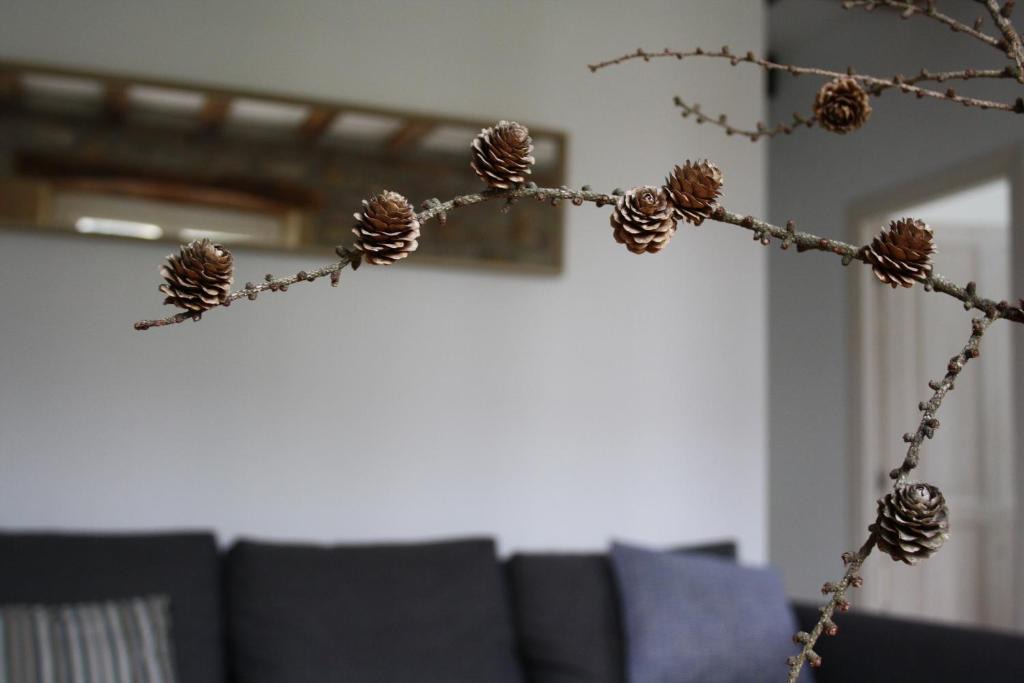 Hondarribia Historic Center Apartment | Eguzkilorea