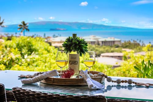 Wailea Apartment | Ekolu 911