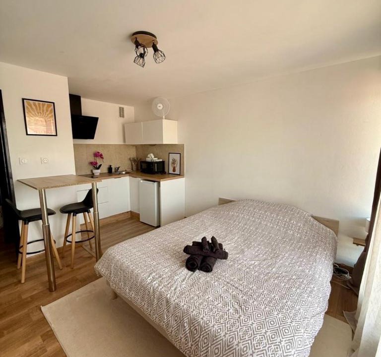 Erstein Apartment | Elégant Studio idéal Europa-Park & Strasbourg