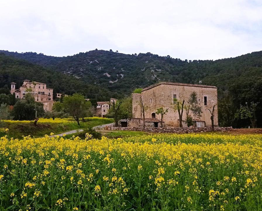 Seguero Apartment | El Castell de Segueró