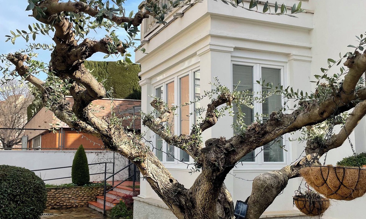 Lleida Bed & Breakfast | El jardí de l'avet