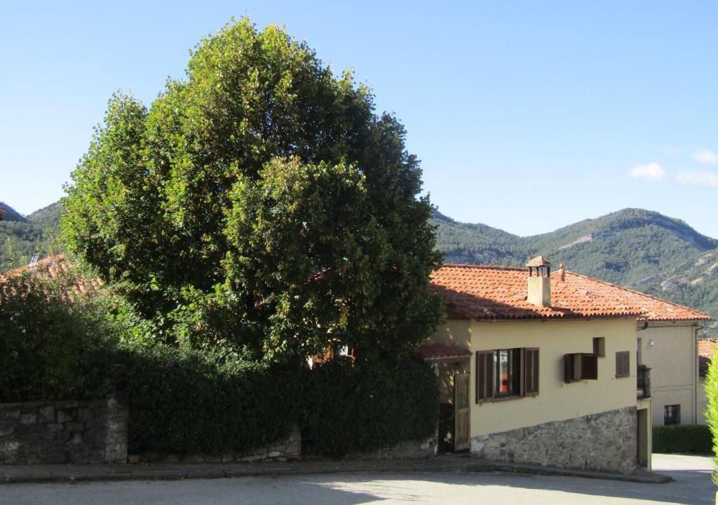 Borreda House | el jardinet