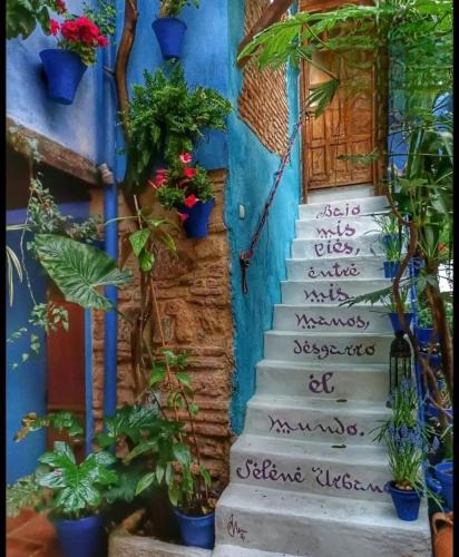 San Lorenzo Apartment | El patio azul Bohemio Mágico