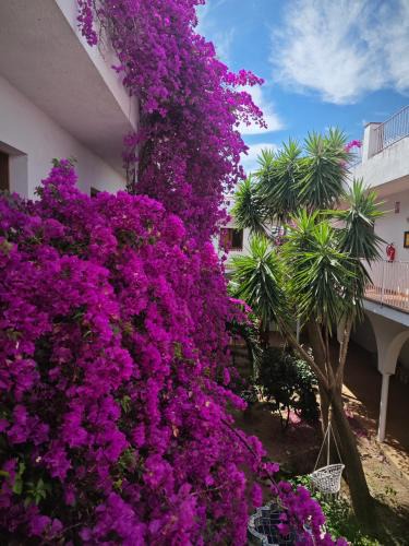 Vilamaniscle Apartment | El Penell Estudi Mestral