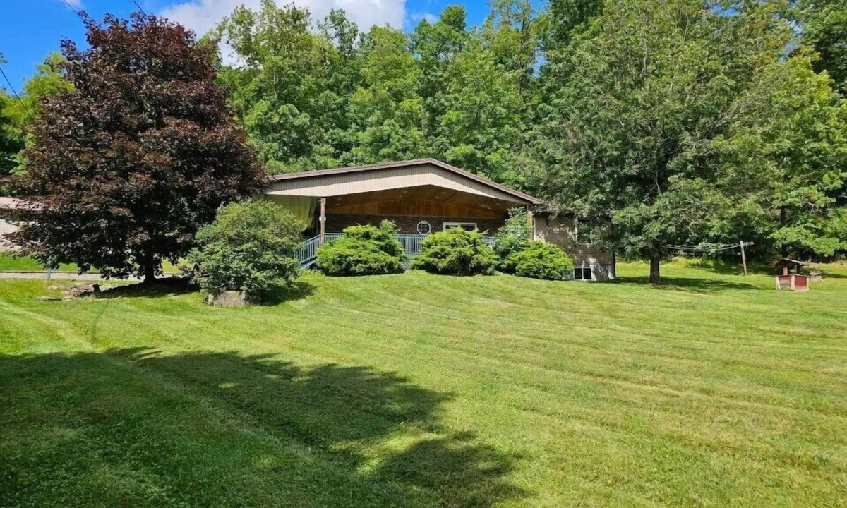Weedville House | Elk from the Hot Tub - Bugle Inn