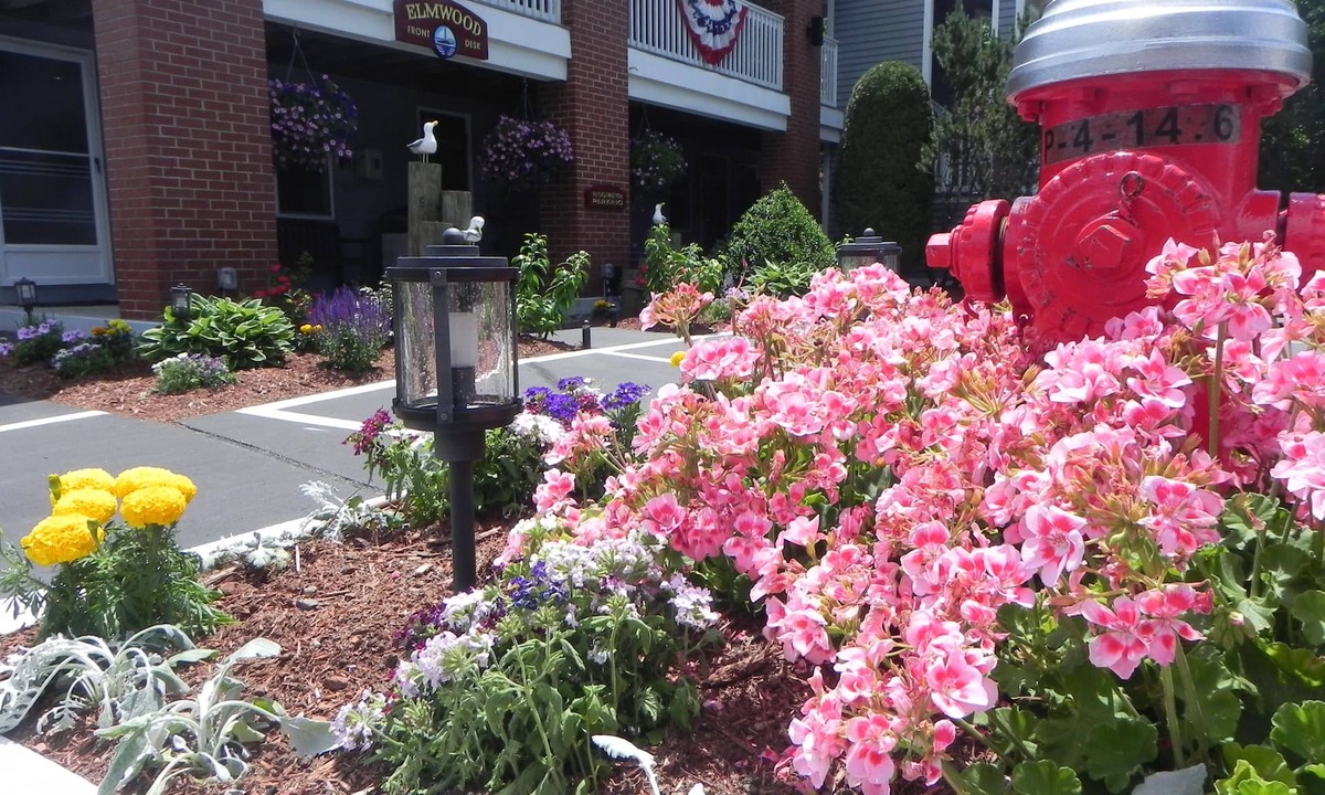 Wells Apartment | Elmwood Resort Hotel