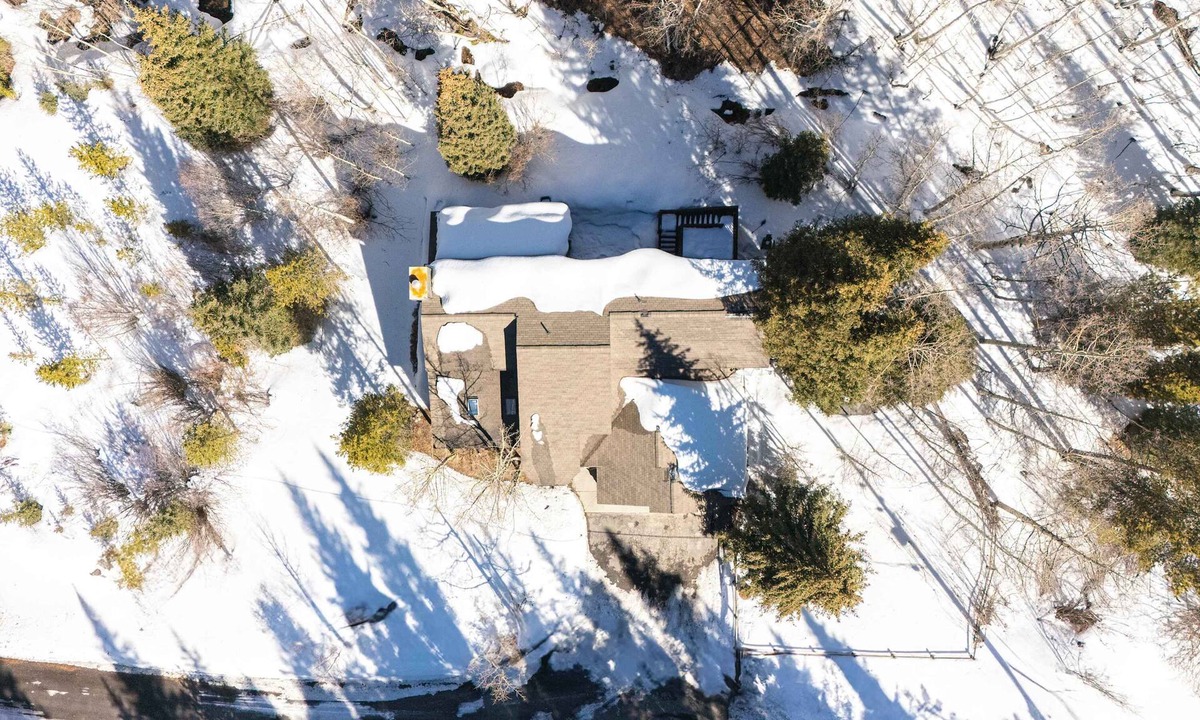 Baldy Mountain House | Elv Haus - Half acre Escape Htub/Pets/Office