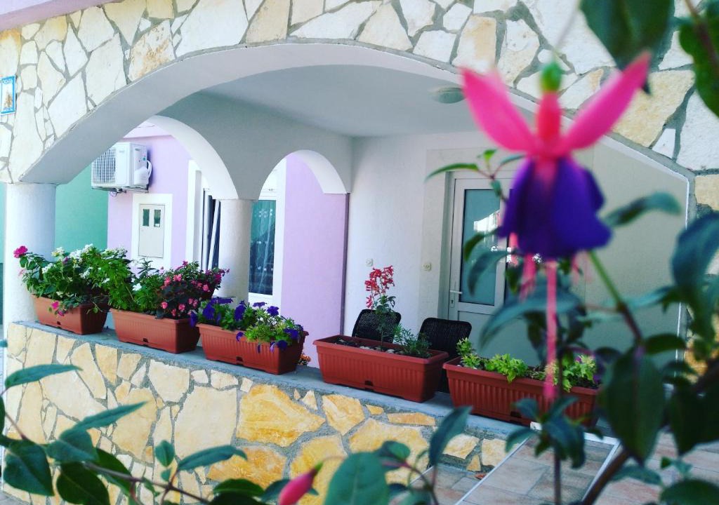Gregovica Apartment | Ema & Sea Apartment's