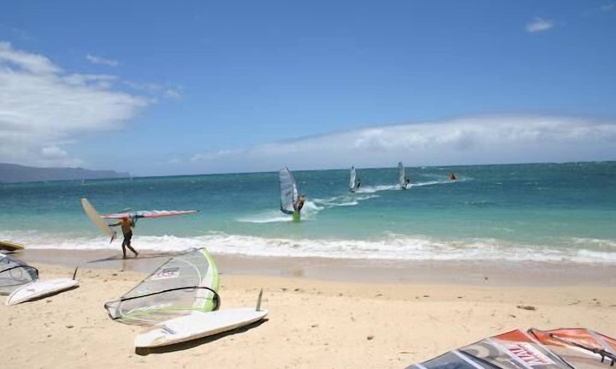 Kahului House | Embrace Nature! 3 Pet-Friendly Retreats Close to Kanaha Pond Wildlife Sanctuary