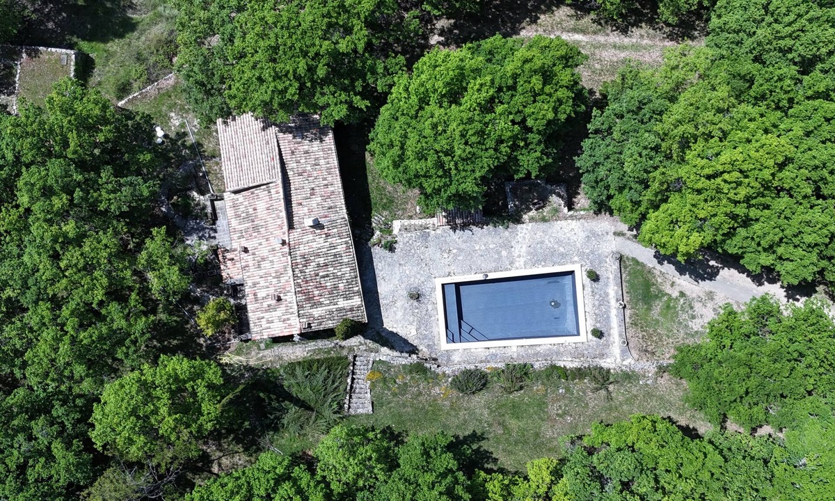 Aurel House | En Pleine Foret