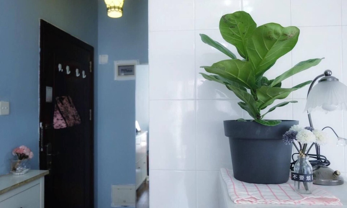 Rock Hill House | Enchanted forest hotel