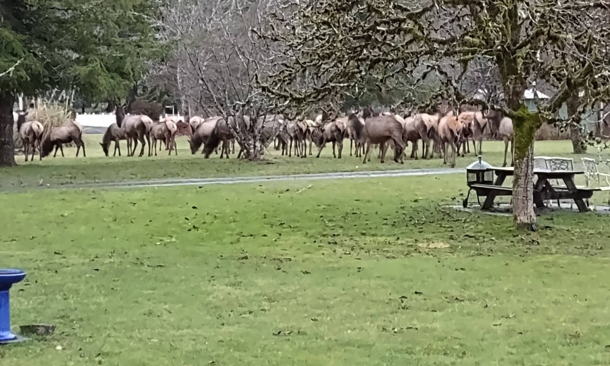 Otis Apartment | Enchanting studio with WiFi in charming Otis