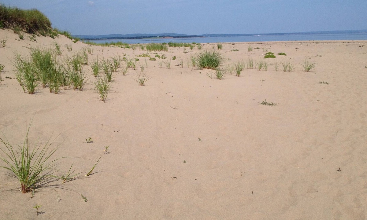 Bayfield Cottage | Enjoy Gorgeous Sunsets On This Rare Sandy Beach.