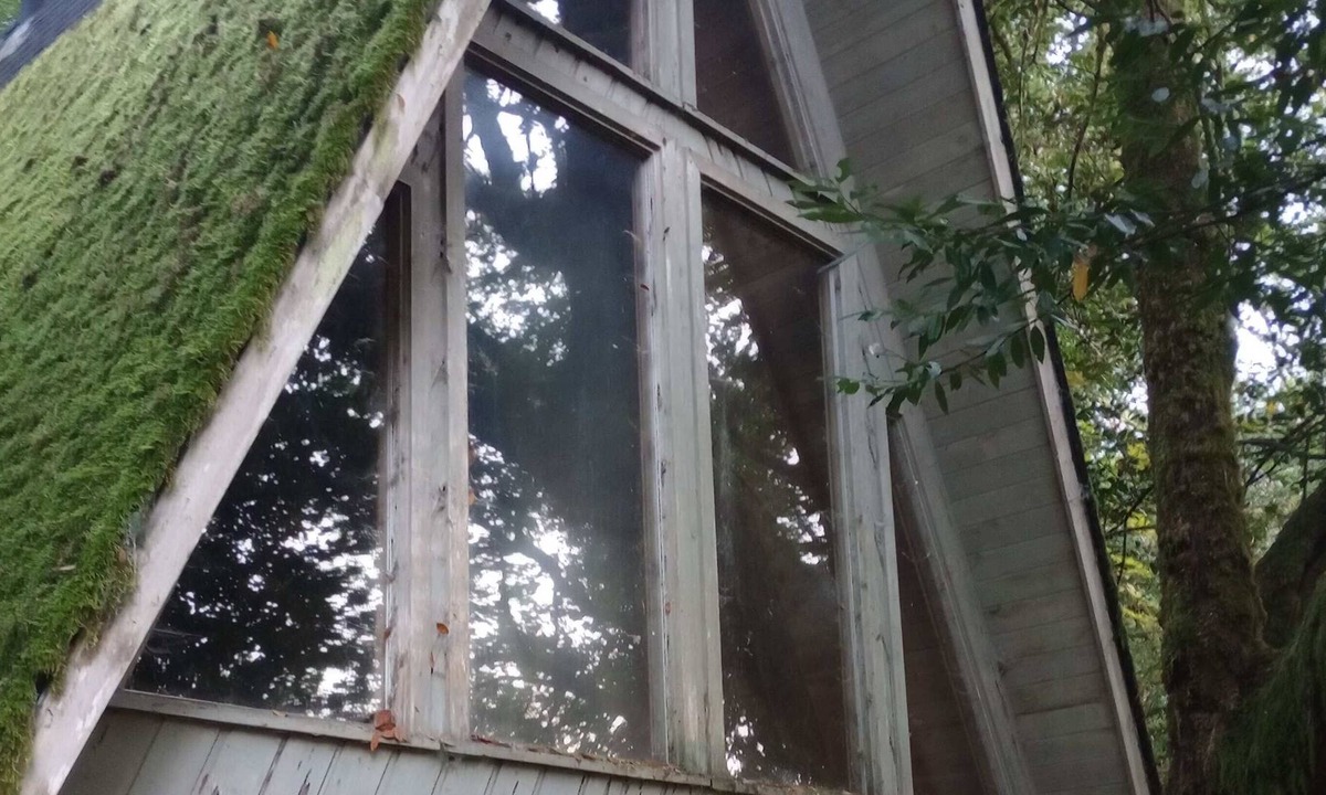 Brookings Apartment | Enjoy the Chetco River wilderness