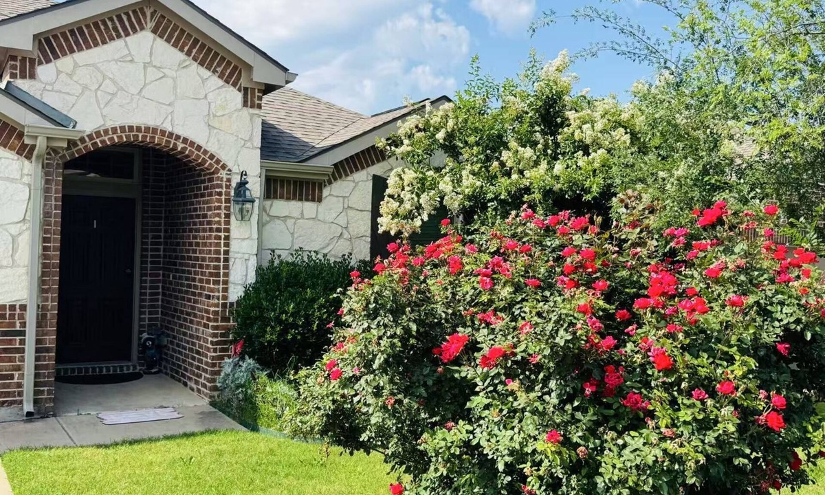 McKinney House | Entire home in McKinney, Texas, United States