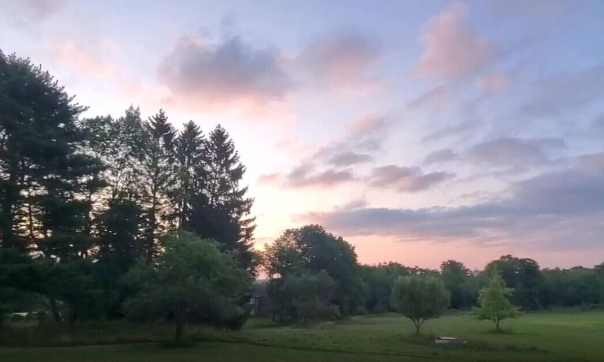 Rowland House | Entire home w 100 Acre+ hunting space