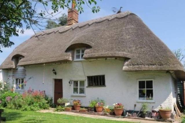 Melbourn House | Entire Thatched Cottage