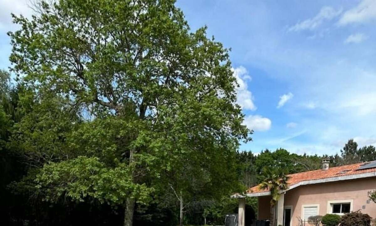 Cestas House | Entre Bordeaux et Arcachon