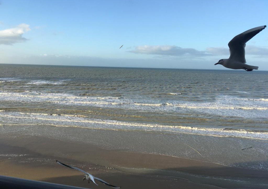 Bray-Dunes Apartment | Entre dunes et mer