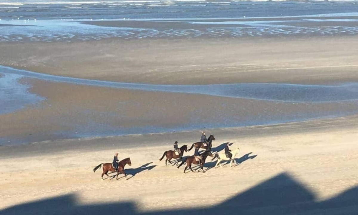 Bray-Dunes Apartment | Entre Dunes et mer