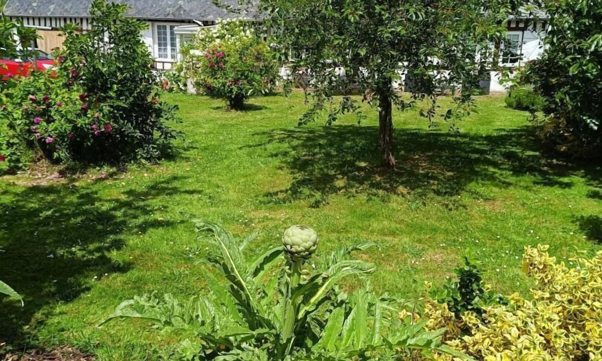 Sassetot-le-Mauconduit House | Entre Ferme et Mer - Ancretteville SUR MER