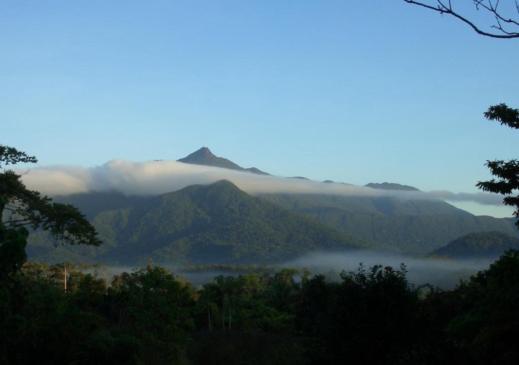 Cow Bay Bed & Breakfast | Epiphyte B & B