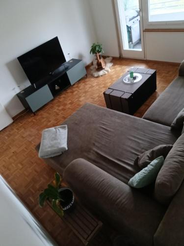 Birsfelden Apartment | ESC Basel Furnished Apartment