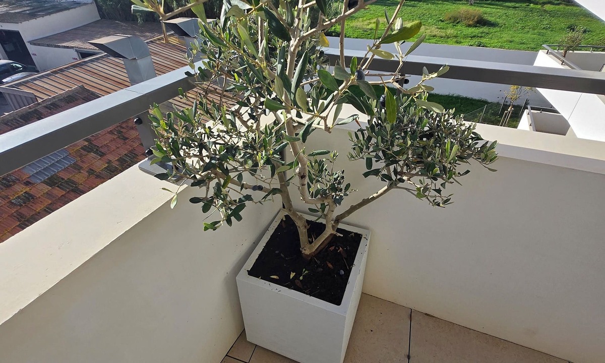 Vielle-Chapelle Apartment | Escale Cozy: Between Sea and Mountain Mobility Lease