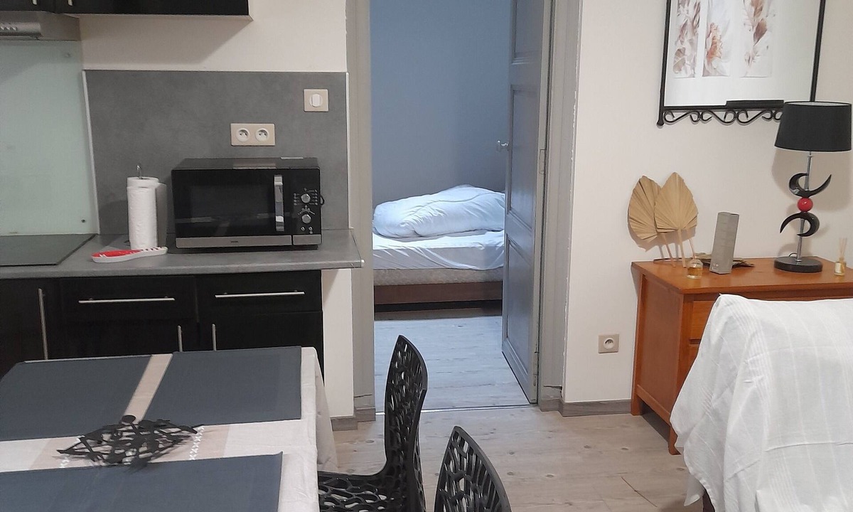 Centre Historique Apartment | Escale Voltaire, T2, 32 m2 au Calme, Centre Historique