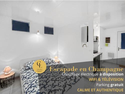 Chalons-en-Champagne Apartment | Escapade en Champagne - Modern, Wifi, 2 pers