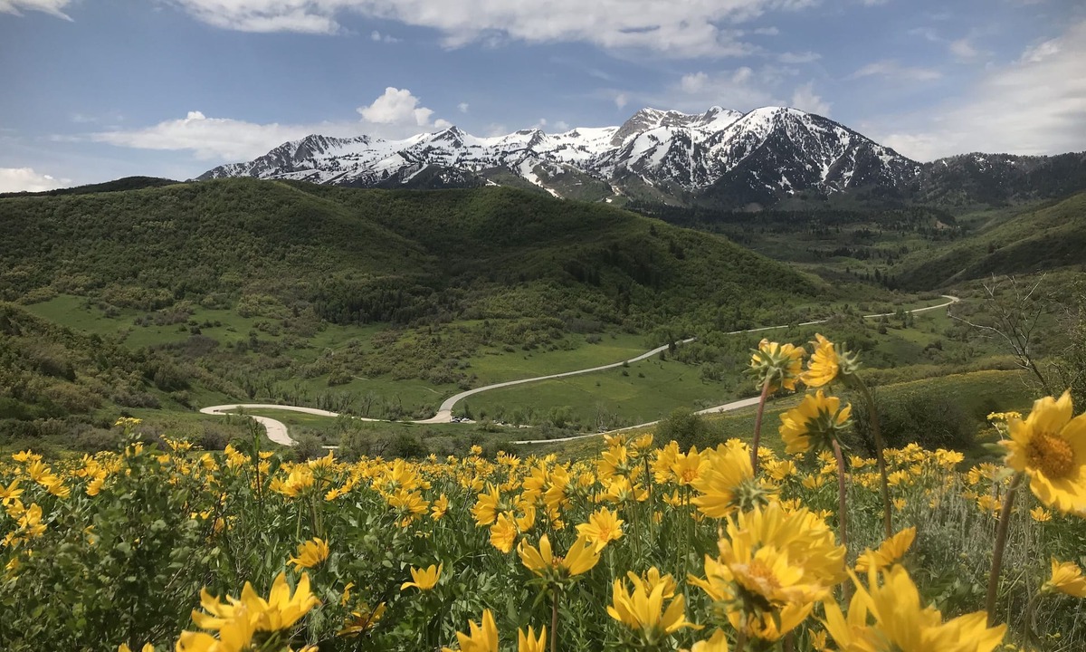 Ogden Condo | Escape.Explore.Enjoy