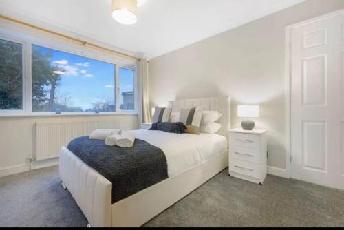 Middlesbrough House | Esher House