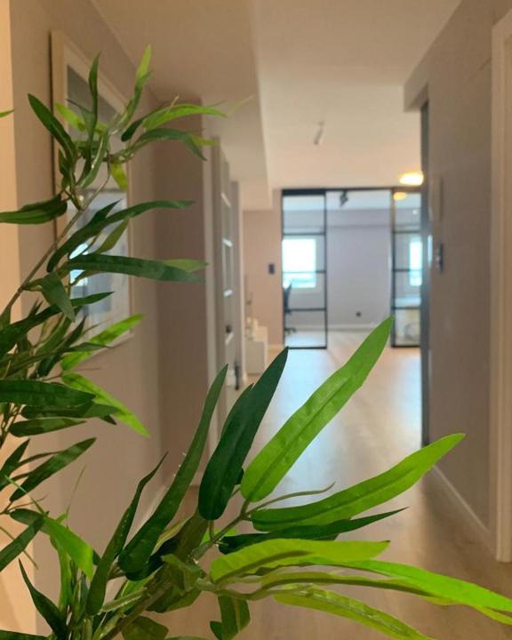 San Jose Apartment | Espectacular loft lleno de luz y espacio!