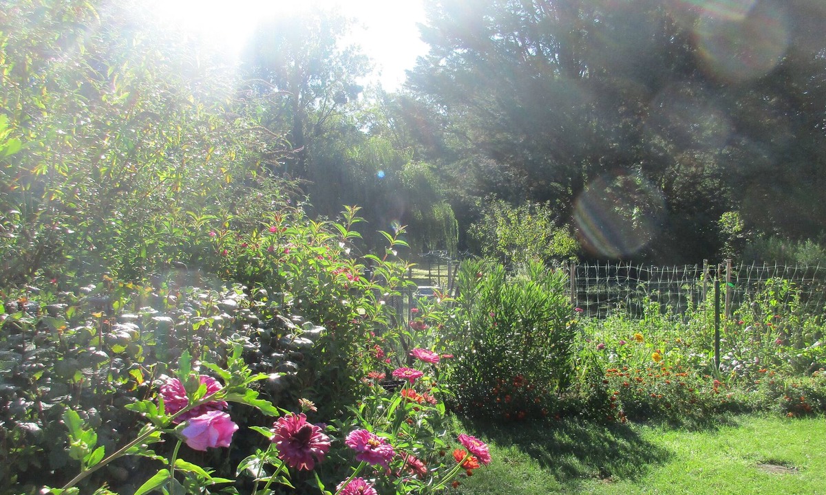 Neuvy-sur-Barangeon Bed & Breakfast | Etape Sologne, flexible accommodation