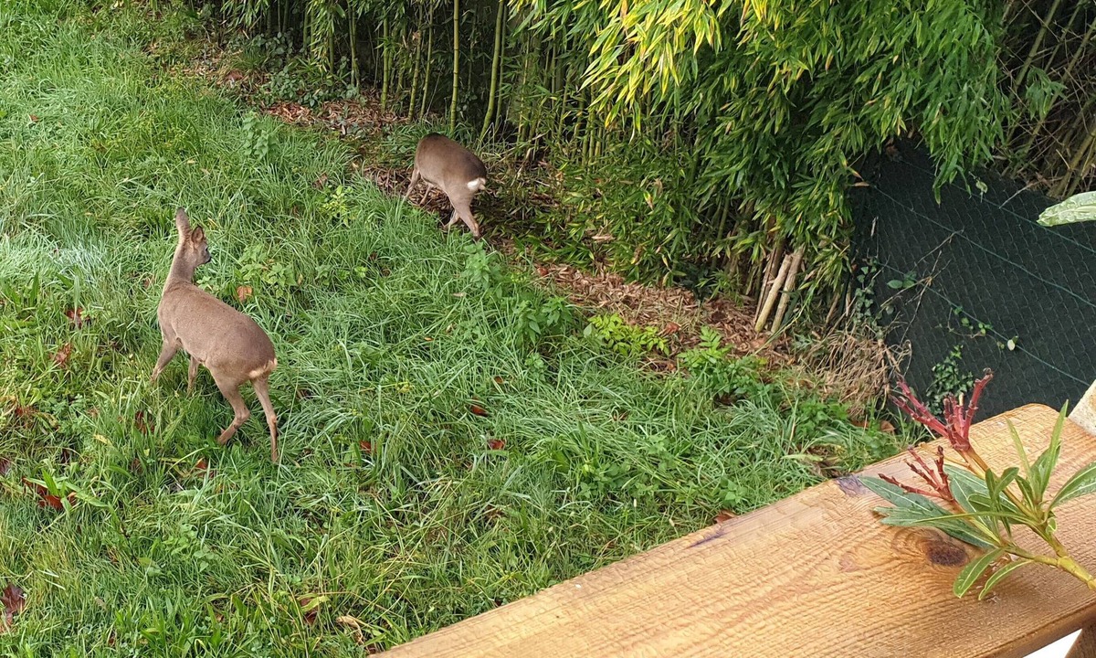 Boucau Apartment | ETCHETAO BAIONA