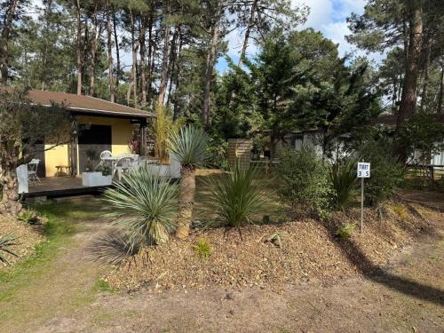 Grayan-Et-L'Hopital Apartment | Euronat naturist studio