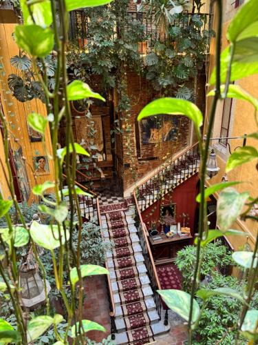 Castres Hotel | Europe Hôtel