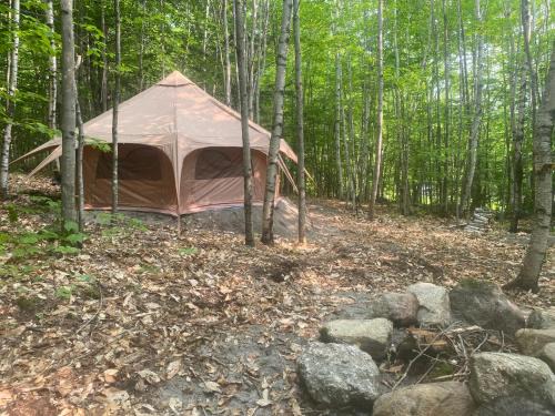 Lovell Other | Evergreen Yurt
